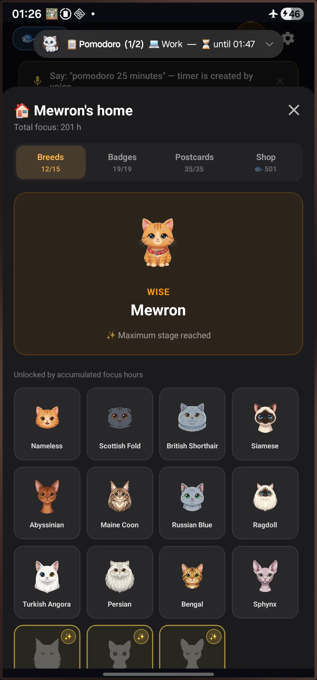 Cat House with all 15 breeds unlocked