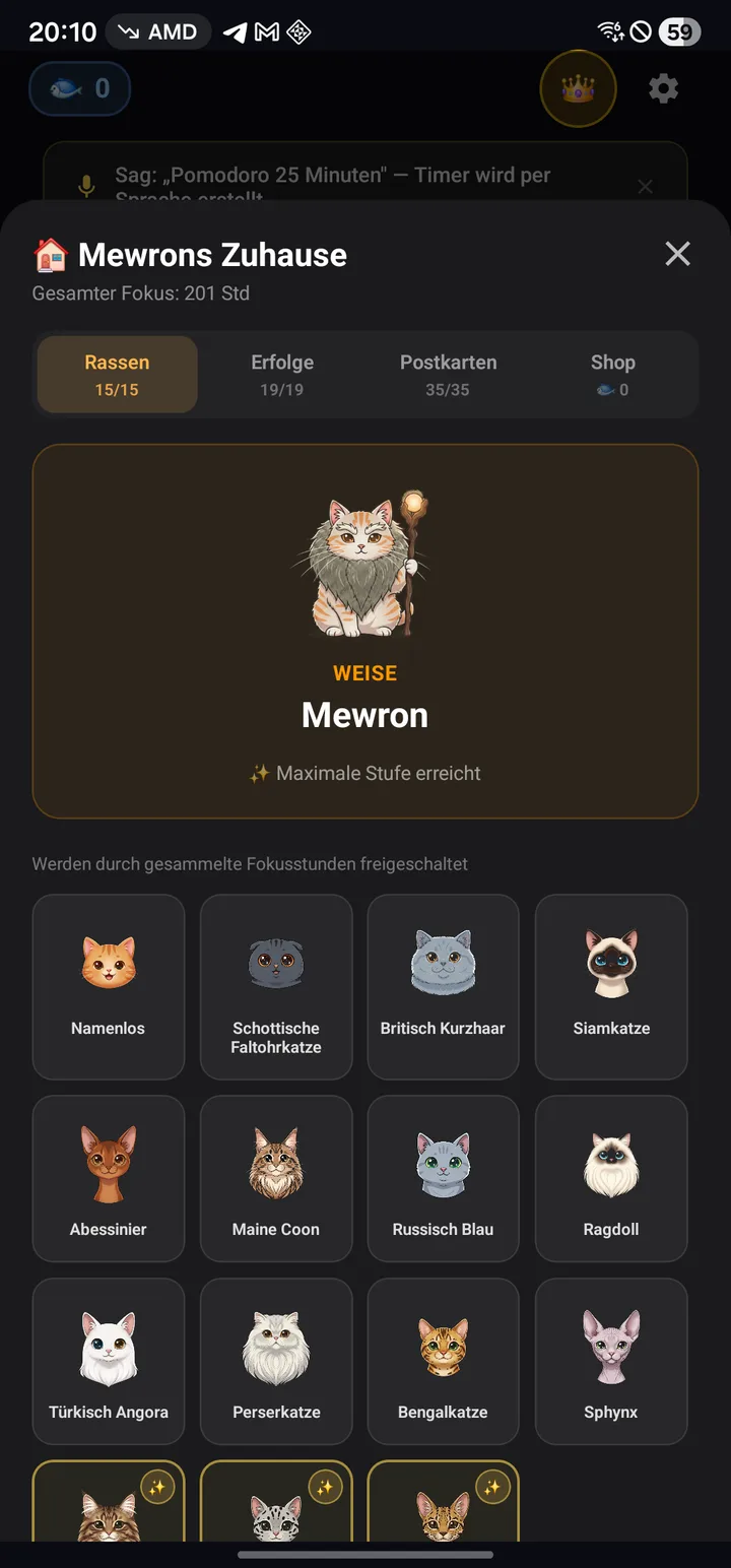 Katzenhaus mit 15 freigeschalteten Katzenrassen und dem weisen Mewron